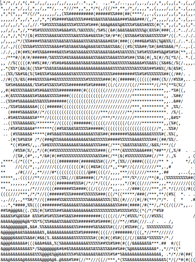 photo d'identité en ascii